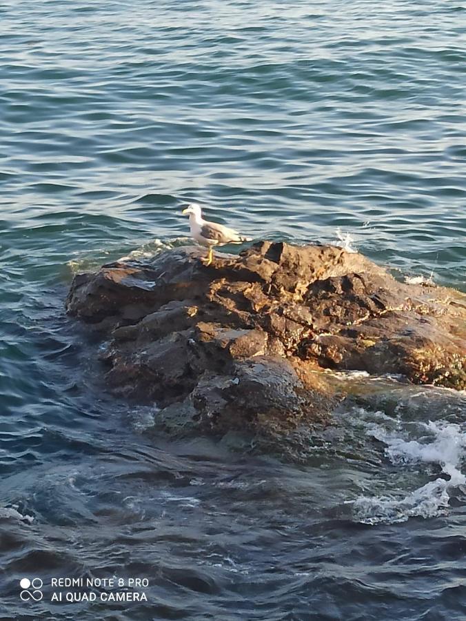 Rapallo Suite Dış mekan fotoğraf